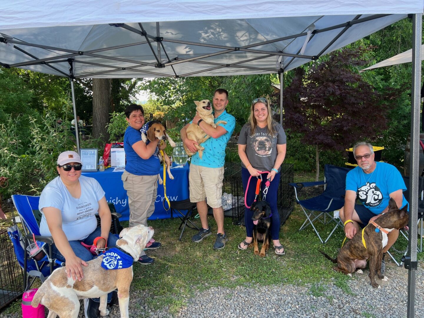 A group of people posing with their dogs under a tent.